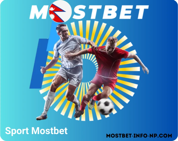 Sports Betting Options